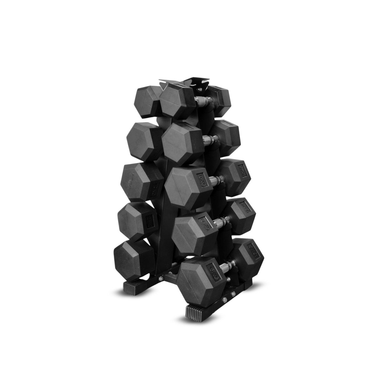 100KG Dumbbell Set + A-Shape Rack